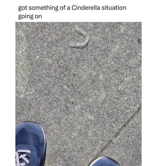 Guttulus tweet media