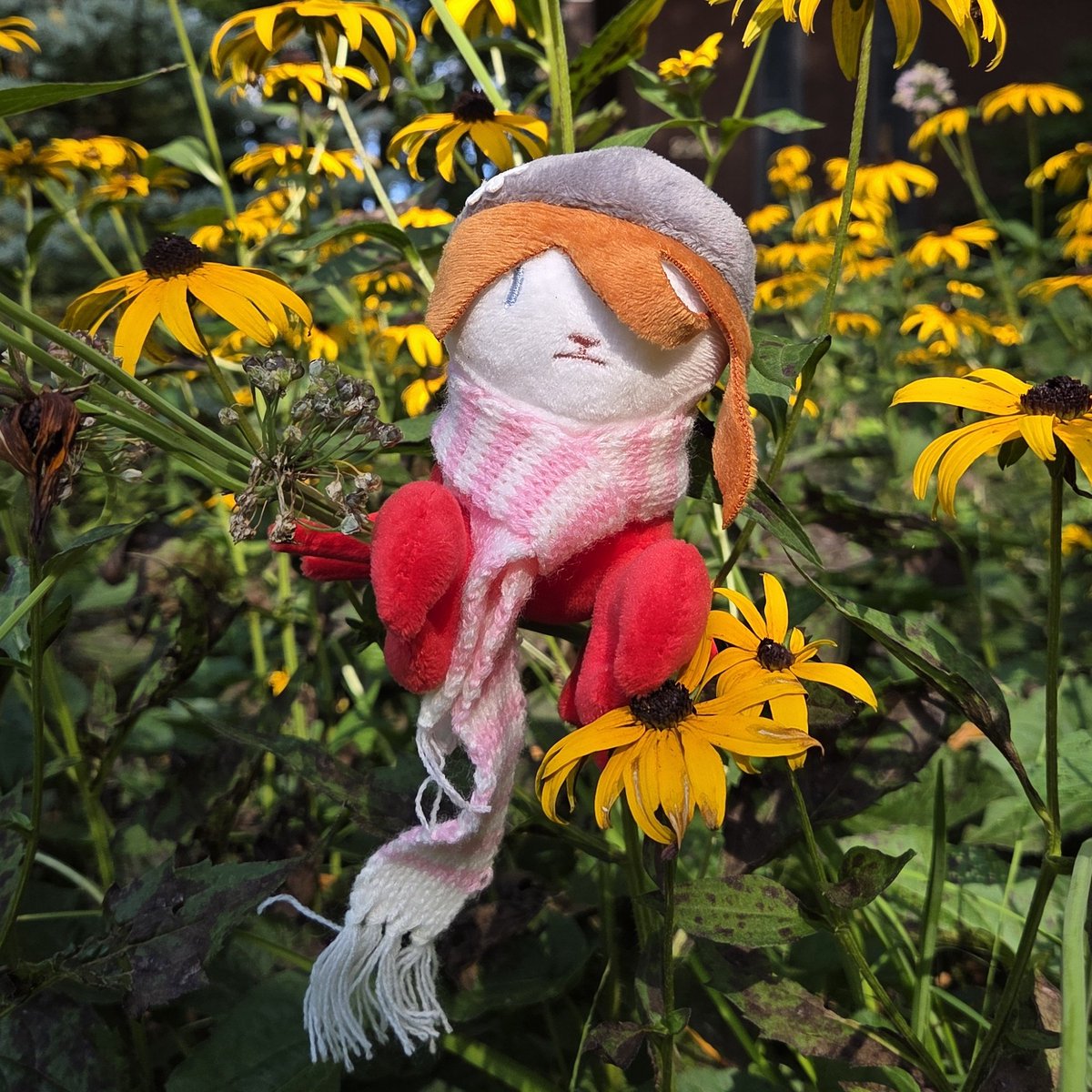 AthenaeumComicArt (@athenaeum_art) on Twitter photo I got my very own Cat Lobster today from <a href="/slimgiltsoul/">Remy Boydell</a>! Remy has been such an important part of Athenaeum's success over the years. Their insights, business sense, and perpetual guidance has been invaluable. Thanks to Remy for being an amazing artist and a great partner! I got my very own Cat Lobster today from <a href="/slimgiltsoul/">Remy Boydell</a>! Remy has been such an important part of Athenaeum's success over the years. Their insights, business sense, and perpetual guidance has been invaluable. Thanks to Remy for being an amazing artist and a great partner!