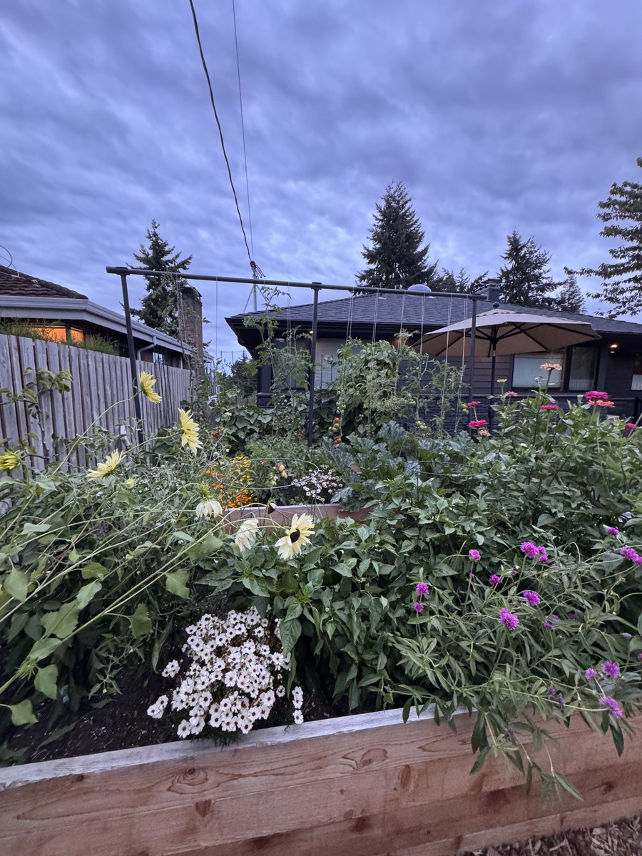 Summer garden update:
- Peak tomato, pepper, zucchini, and cucumber
- Flowers going crazy
- Overflowing with abundance