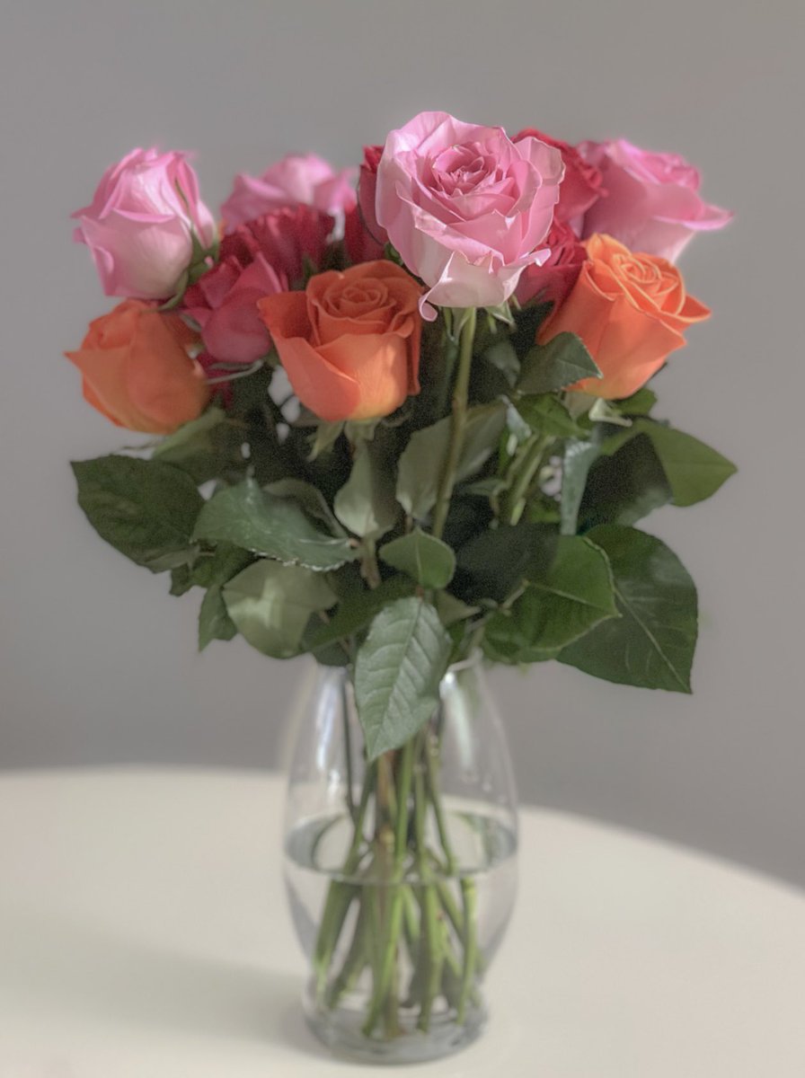 joannpip's tweet image. “Happiness consists more in small conveniences or pleasures that occur every day, than in great pieces of good fortune that happen but seldom to a man in the course of his life.”🌹
    – Benjamin Franklin
#LifeisBeautiful #BlessedAndGrateful