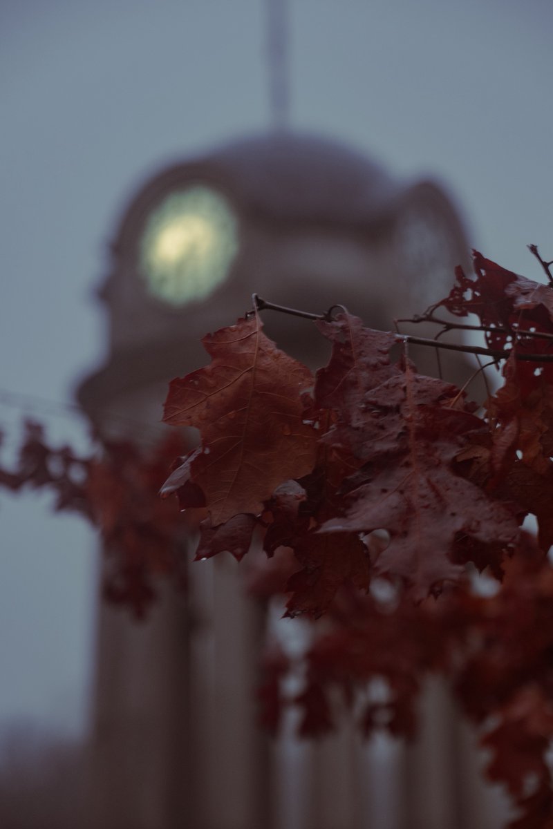 silent night ✨📸