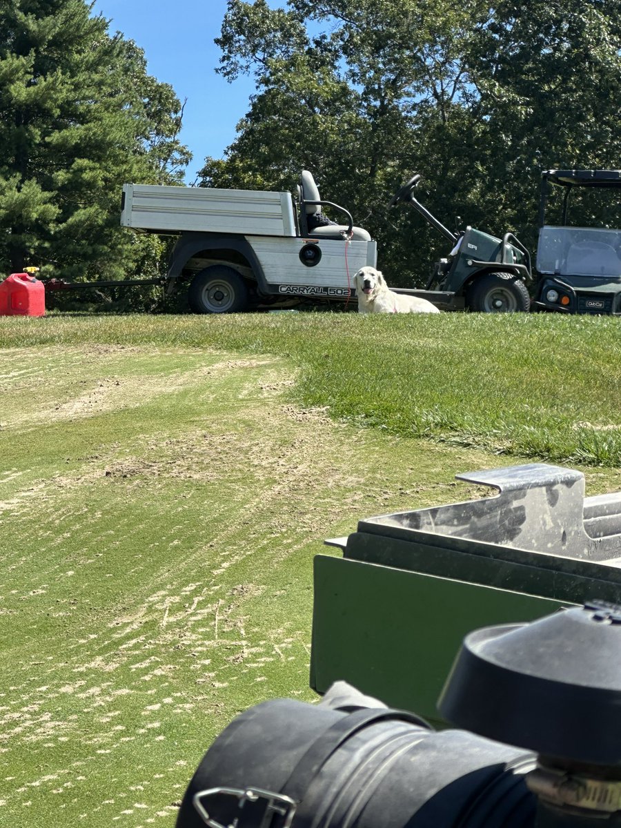 Colonial Turf tweet media