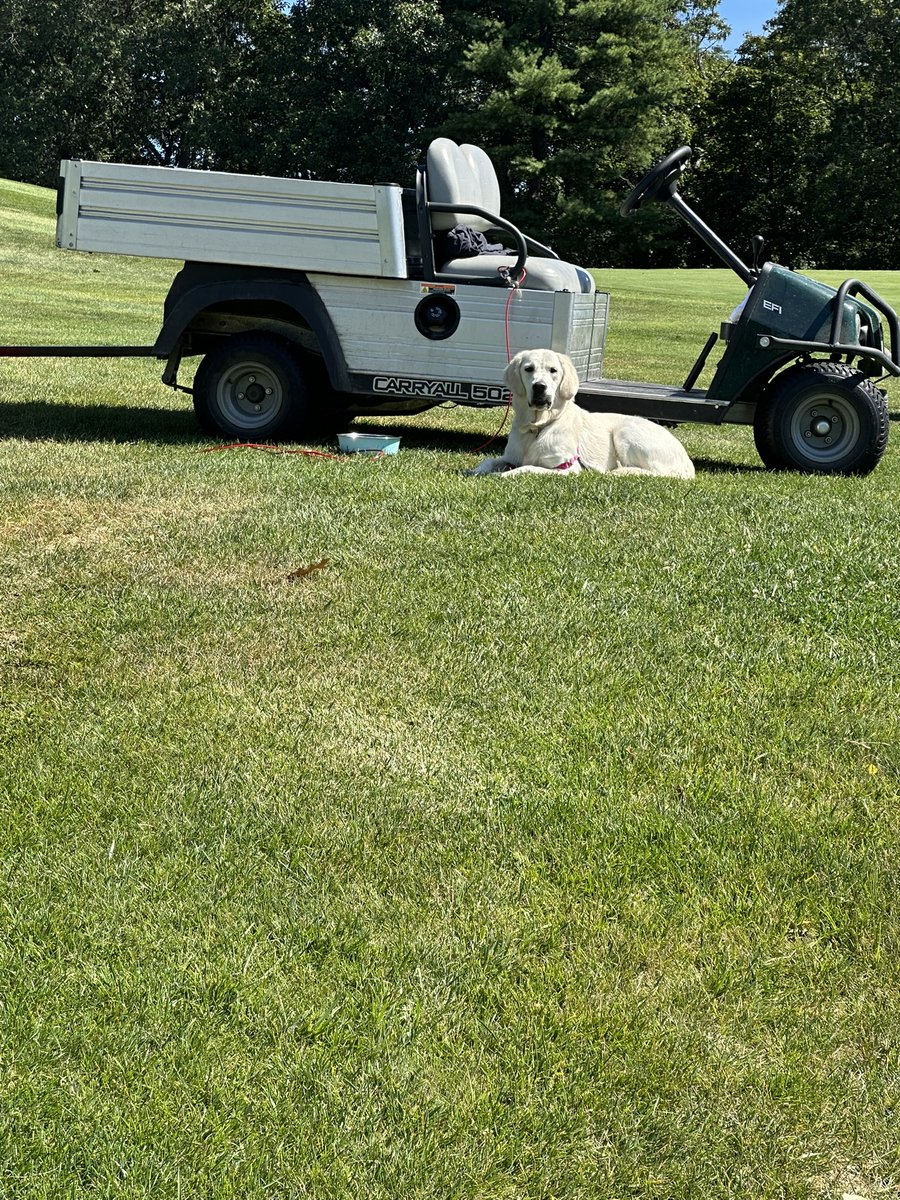 Colonial Turf tweet media