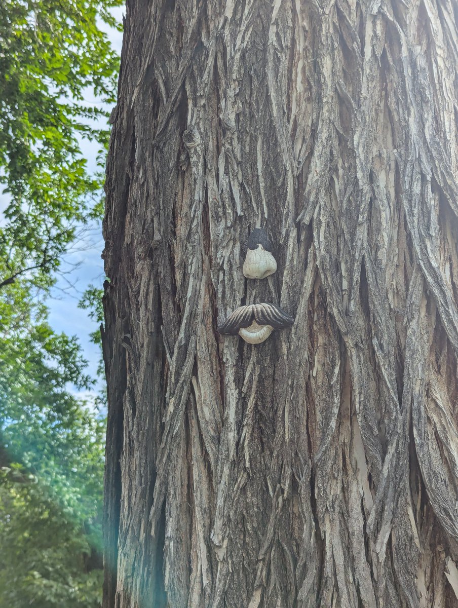 My neighbourhood, Wîhkwêntôwin, is definitely interesting.
#ThingsThatMakeYouGoHmm
#yeg