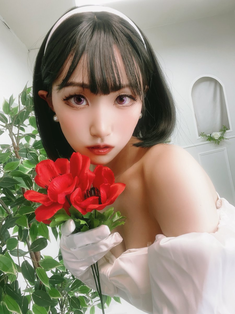 ＿＿＿ My Clematis 

ALIEN STAGE  SUA
