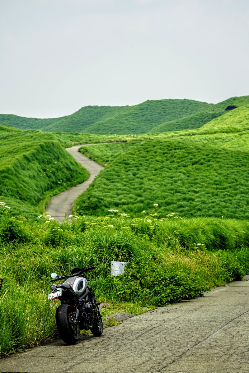 バイクの日