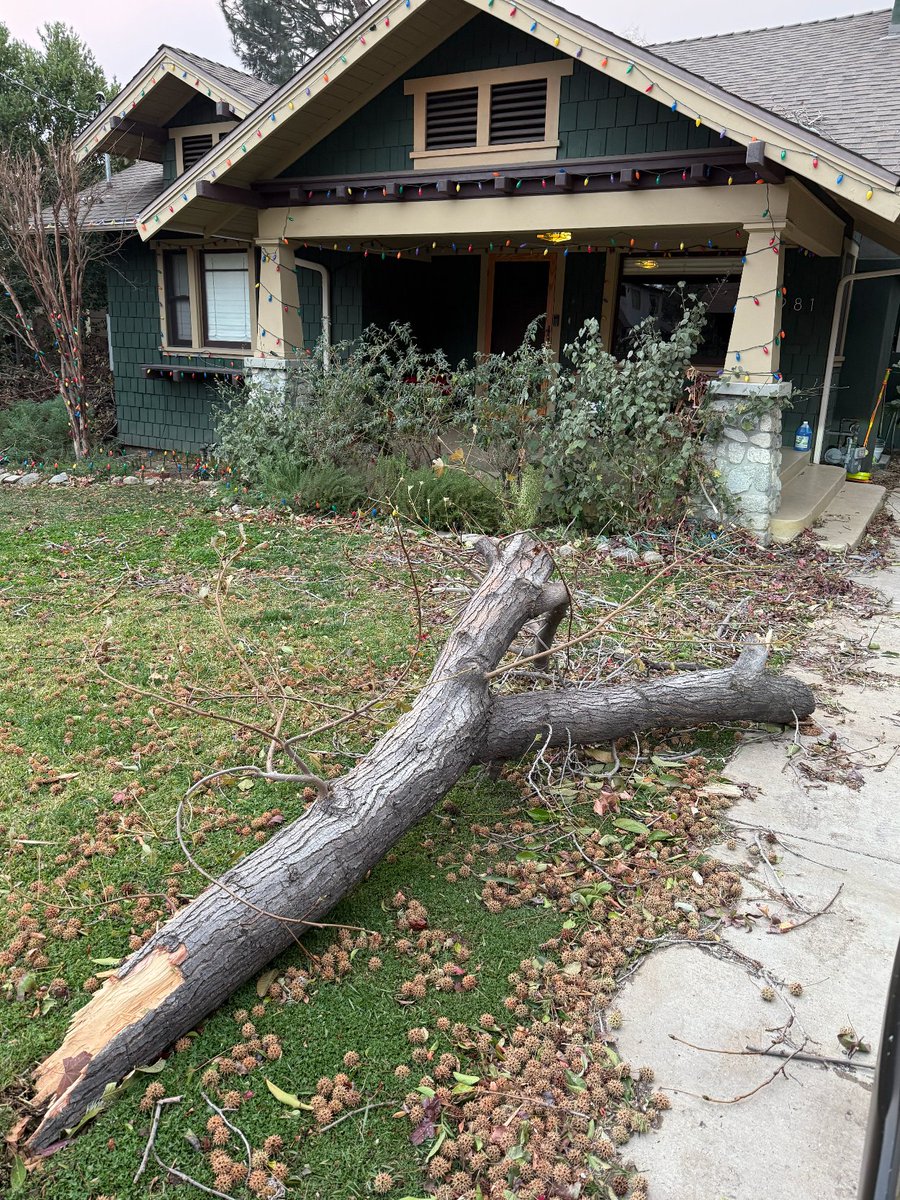 KevyPizza's tweet photo. I should also mention during the wind storms on the night of the fires a large part this same tree was severed off the top and flew across and landed on the hood of my car. Again - this tree was not maintained properly and needs to be removed https://t.co/Hjc8lCmF20