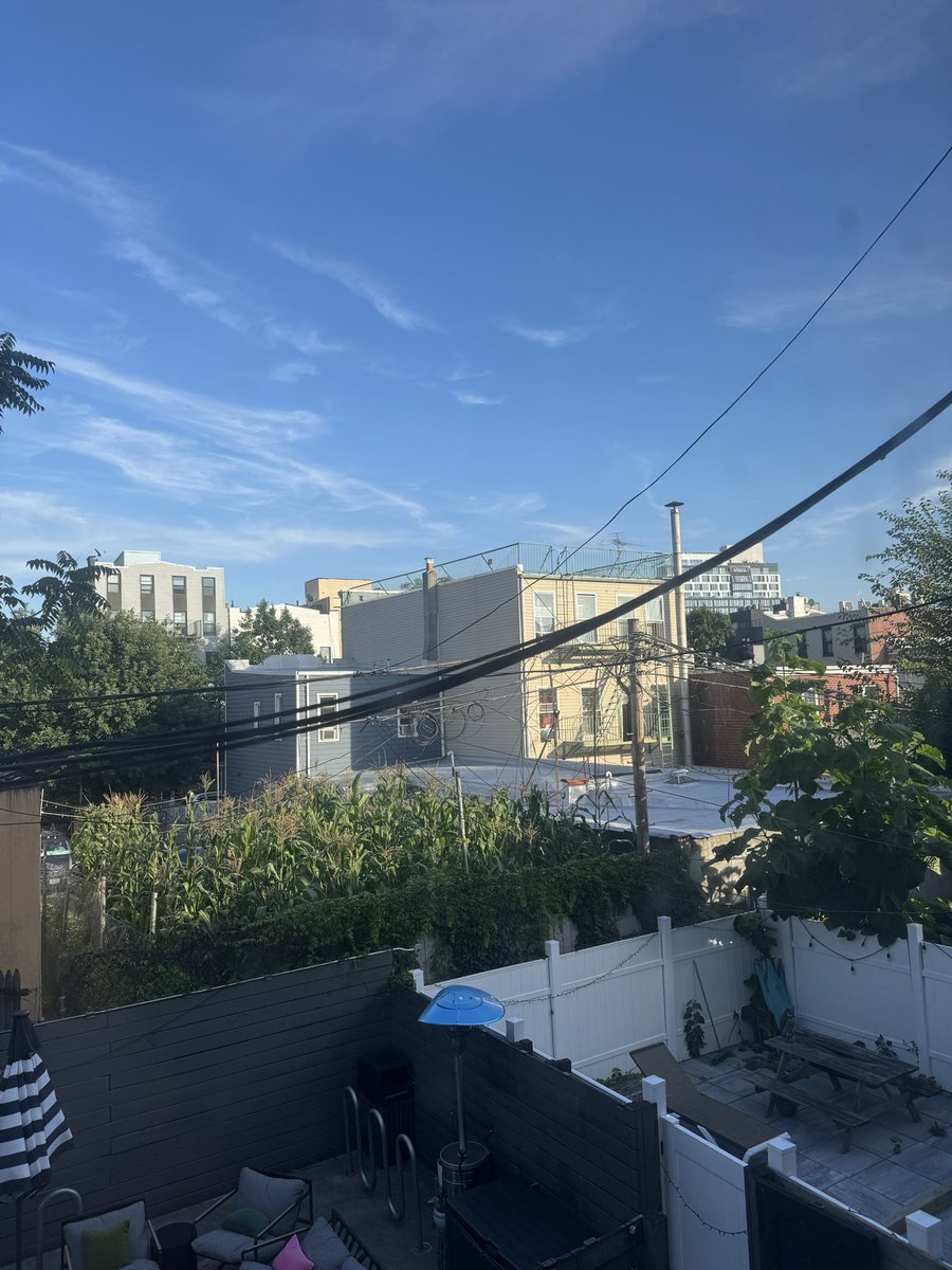 Between the corn field on the left and the weed that’s as large as a tree on the right… how is bushwick a real place