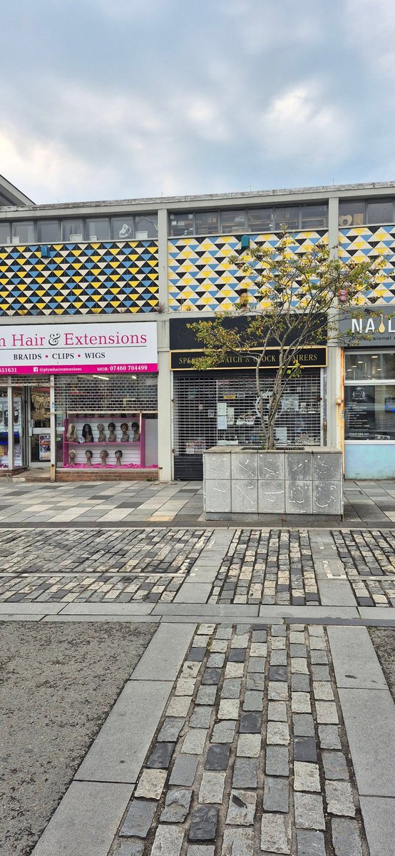 Chaz Singh tweet media