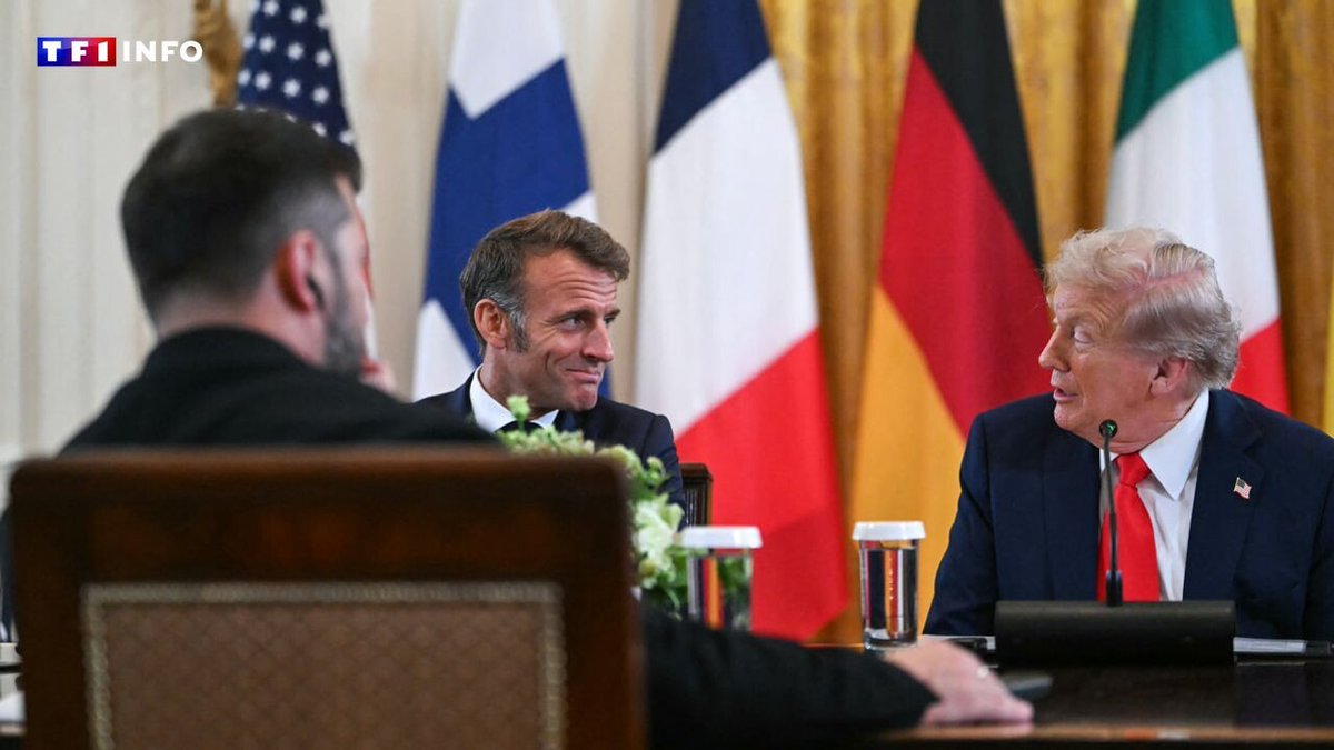 Ukraine : Macron veut une "réunion quadrilatérale" avec Poutine, Trump, Zelensky et les Européens
➡️ l.tf1info.fr/7Fy