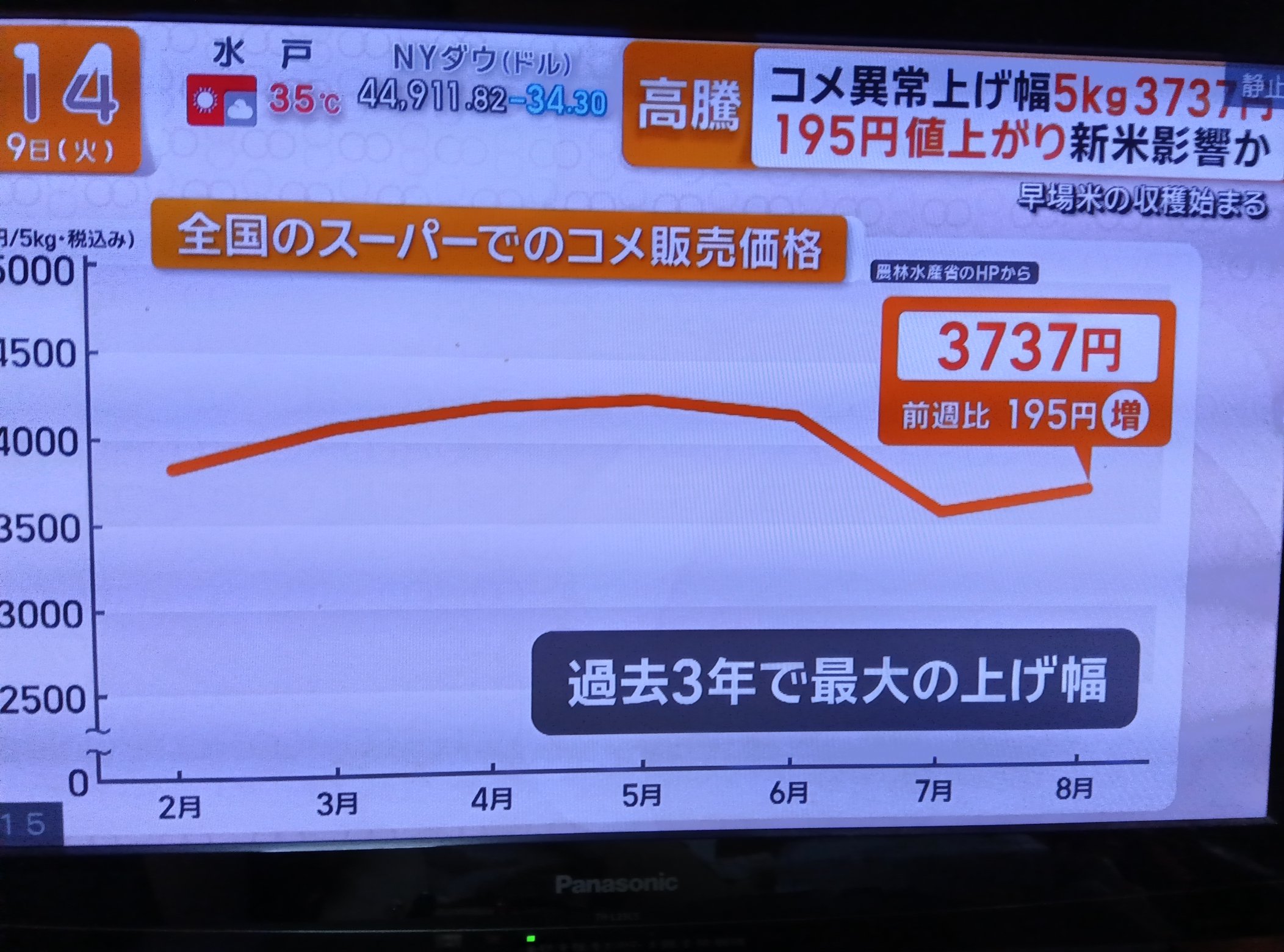 ととのうみすと　まとめ売り MDS BtoB |【ミドリ】(国内販売のみ) シール おしゃべり ネコ柄