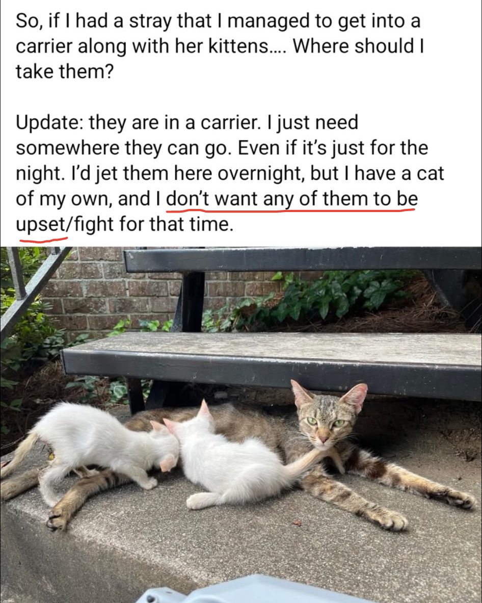 Sherry Miller (@picklesmil) on Twitter photo Included in my conversation with Priya <a href="/gandolf_s/">Gandolf’s Legacy Cat Rescue</a> this morning, when I was checking in on Leo, was this from her...(update on Leo- he has an appointment w/oncologist for an ultrasound on Wed to see what is going on. Paws in.🙏💞)
"I JUST WANT TO JUMP OFF A CLIFF. SOMEONE I KNOW Included in my conversation with Priya <a href="/gandolf_s/">Gandolf’s Legacy Cat Rescue</a> this morning, when I was checking in on Leo, was this from her...(update on Leo- he has an appointment w/oncologist for an ultrasound on Wed to see what is going on. Paws in.🙏💞)
"I JUST WANT TO JUMP OFF A CLIFF. SOMEONE I KNOW