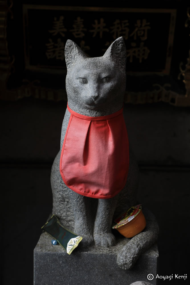 火事を知らせて主人を救ったという忠描。名前は美喜井（ミキイ、ミッキー？）

#猫 #猫像 #忠描