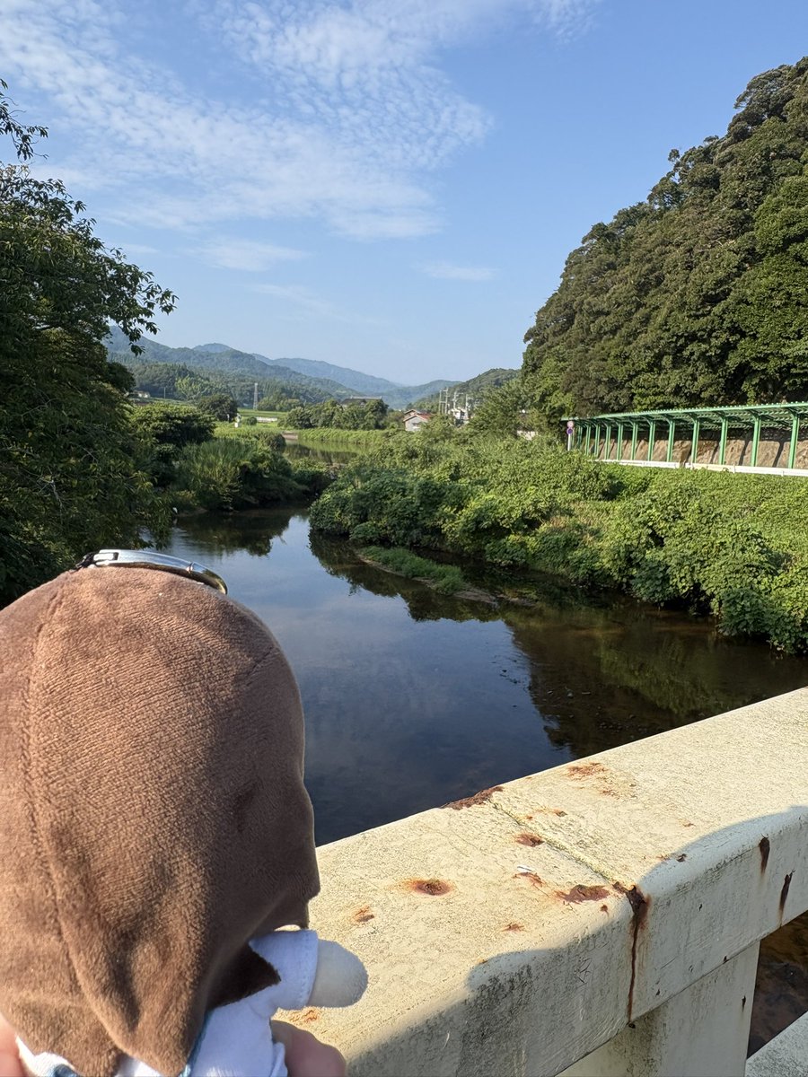 #今日のぷちださん 
田舎は涼しい