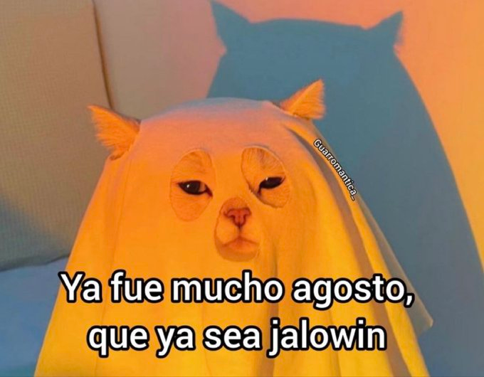 Huesudo 💀 tweet media