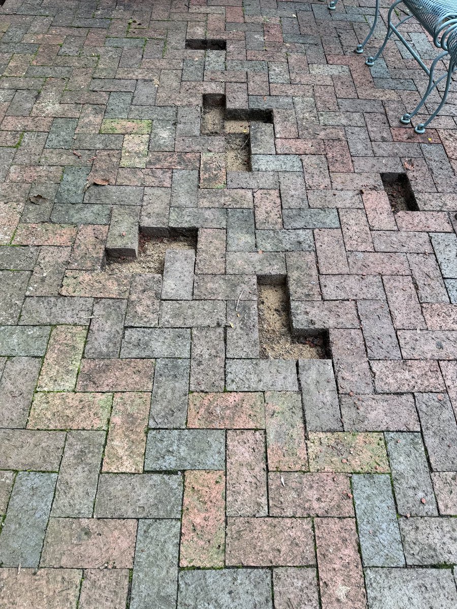 Having some patio repairs done, and now I have an uncontrollable urge to use the arrow keys and the spacebar