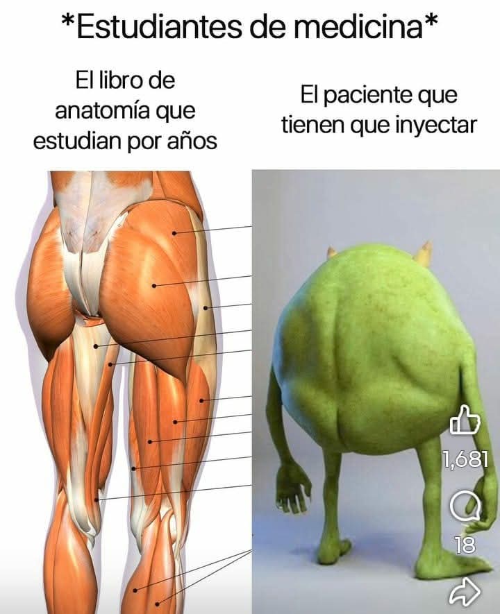 Mon🧙 (@lapinchemonse) on Twitter photo 