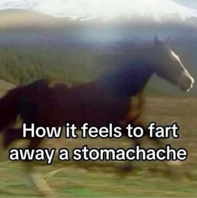 🕐HOURLY🕑 shitpost (@hourly_shitpost) on Twitter photo 