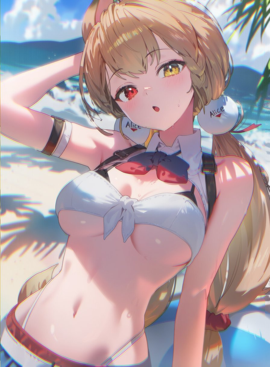 投稿の画像