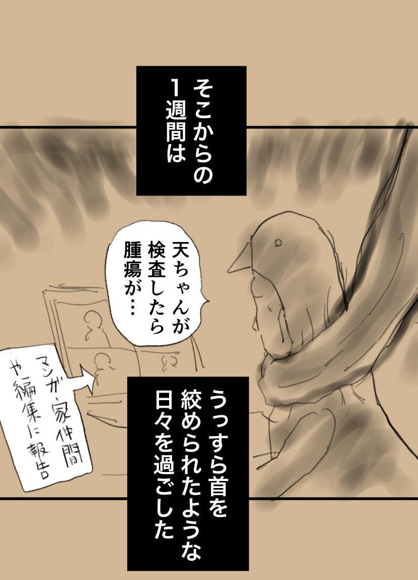 エコー検査で息子に腫瘍が見つかって苦しい 2/2 