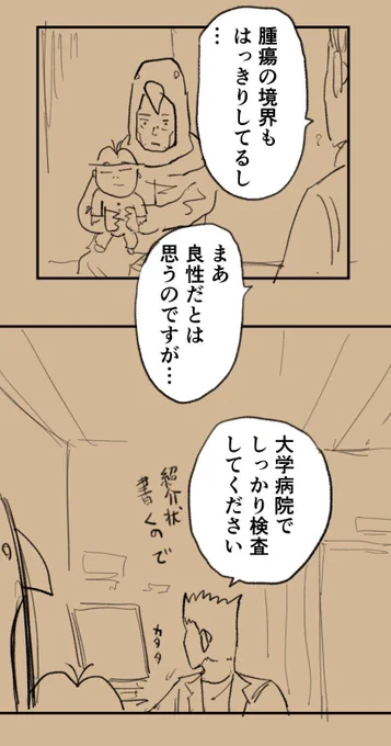 エコー検査で息子に腫瘍が見つかって苦しい 1/2 