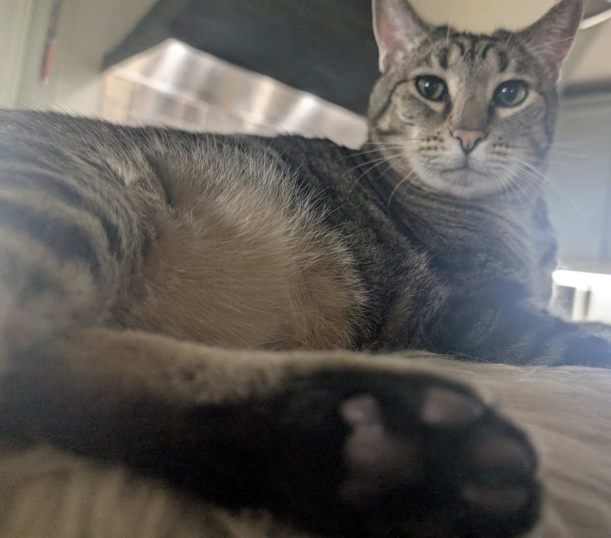 Axel's beans may be 11 years old, but they're as fresh as the day I found him.