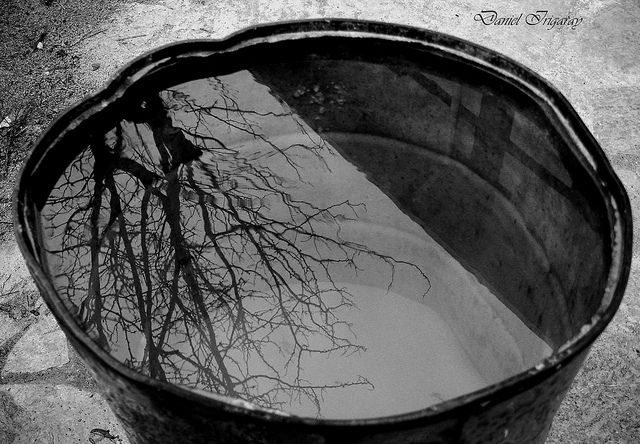literlandweb1's tweet photo. "El futuro y el pasado, en efecto, son dos territorios de niebla y de vértigo que los vivos pueden explorar solo con la fantasía y con la memoria".
"Mentira y sortilegio", Elsa Morante
📷Daniel Irigaray https://t.co/BFHlNrfvcX