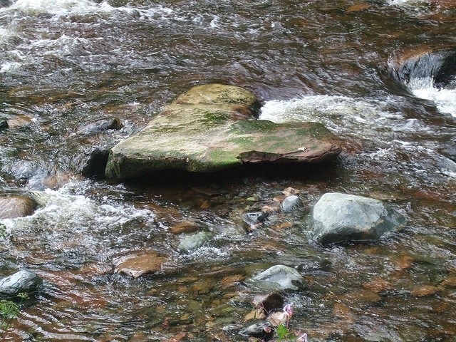 heart rock. Lovers rock, if you will