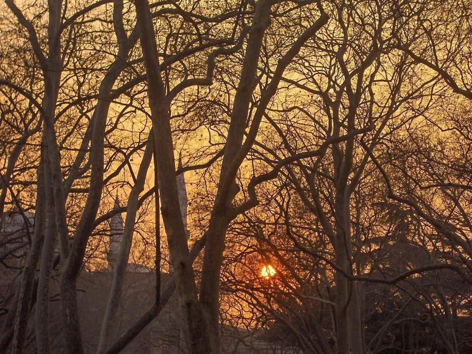 Mon🧙 (@lapinchemonse) on Twitter photo 