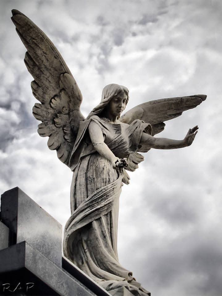 Mon🧙 (@lapinchemonse) on Twitter photo 