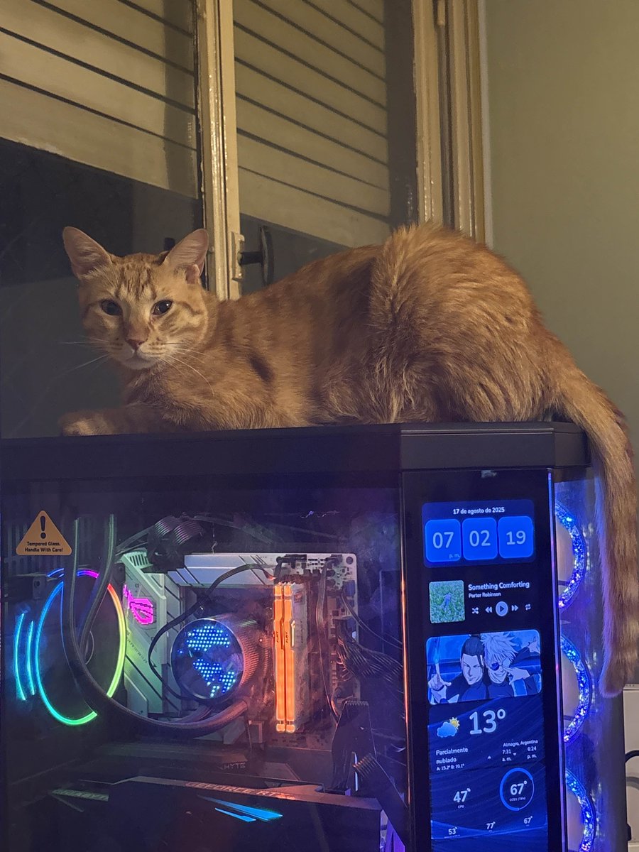 The King Queso