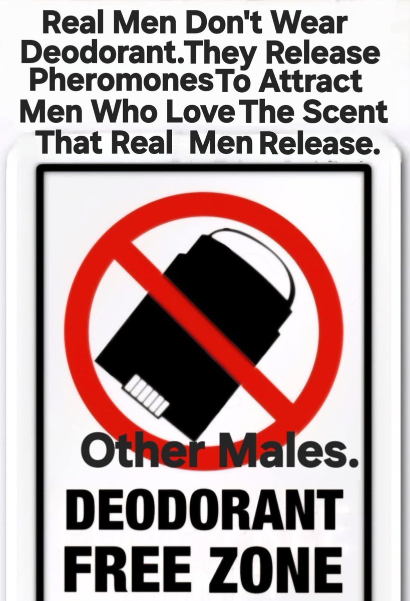 Bears Looking tweet media