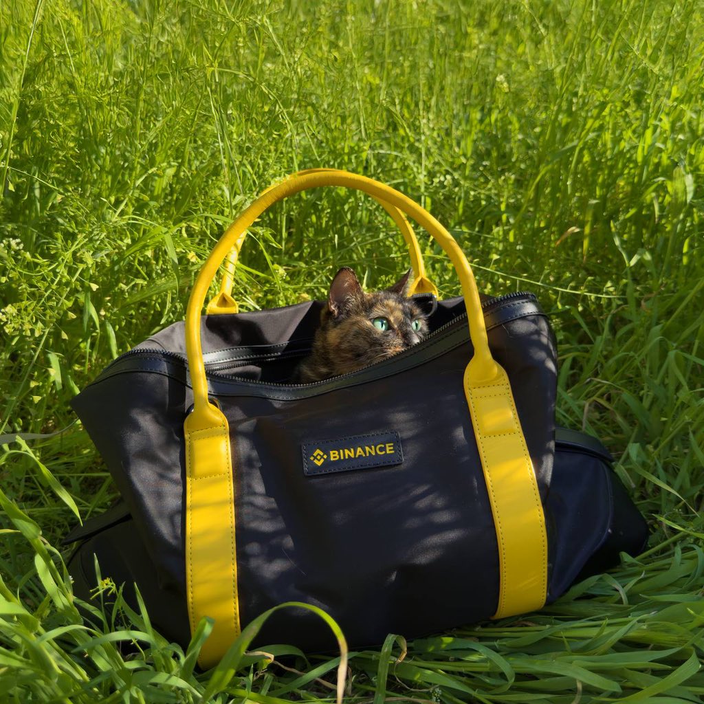 BinanceWallet's tweet image. 🐱: GM