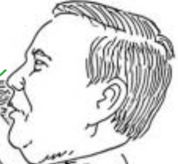 Wo, 
Bagaimana mungkin Kami Percaya kepadamu untuk perubahan sedangkan untuk mengusir para pengkhianat yang ada di sekitar yang telah mencoreng mukamu dengan kebijakan yang tolol saja kau tak mampu  

Buat kami percaya
Segera bereskan sebelum kau Terlambat dan semuanya bubar