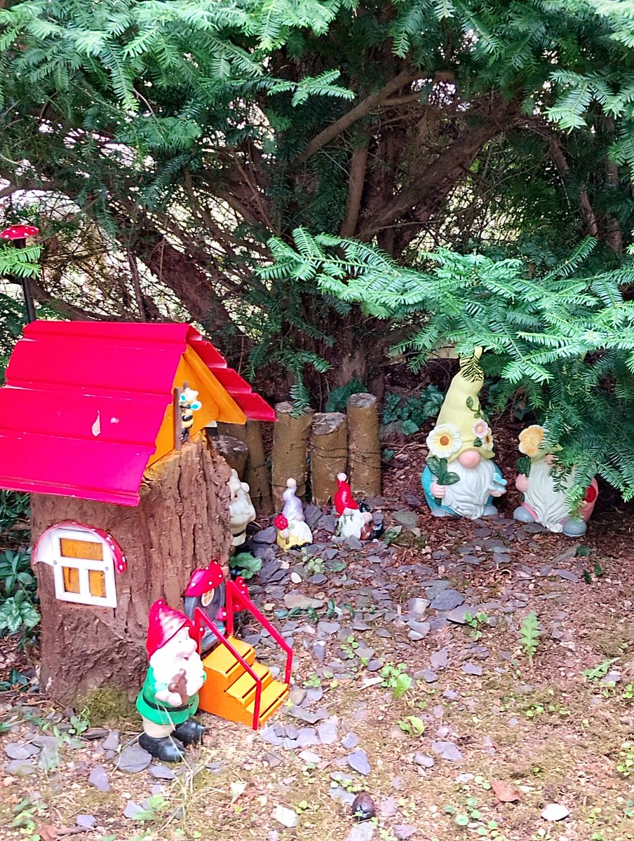 Guten Morgen ☕☕☕