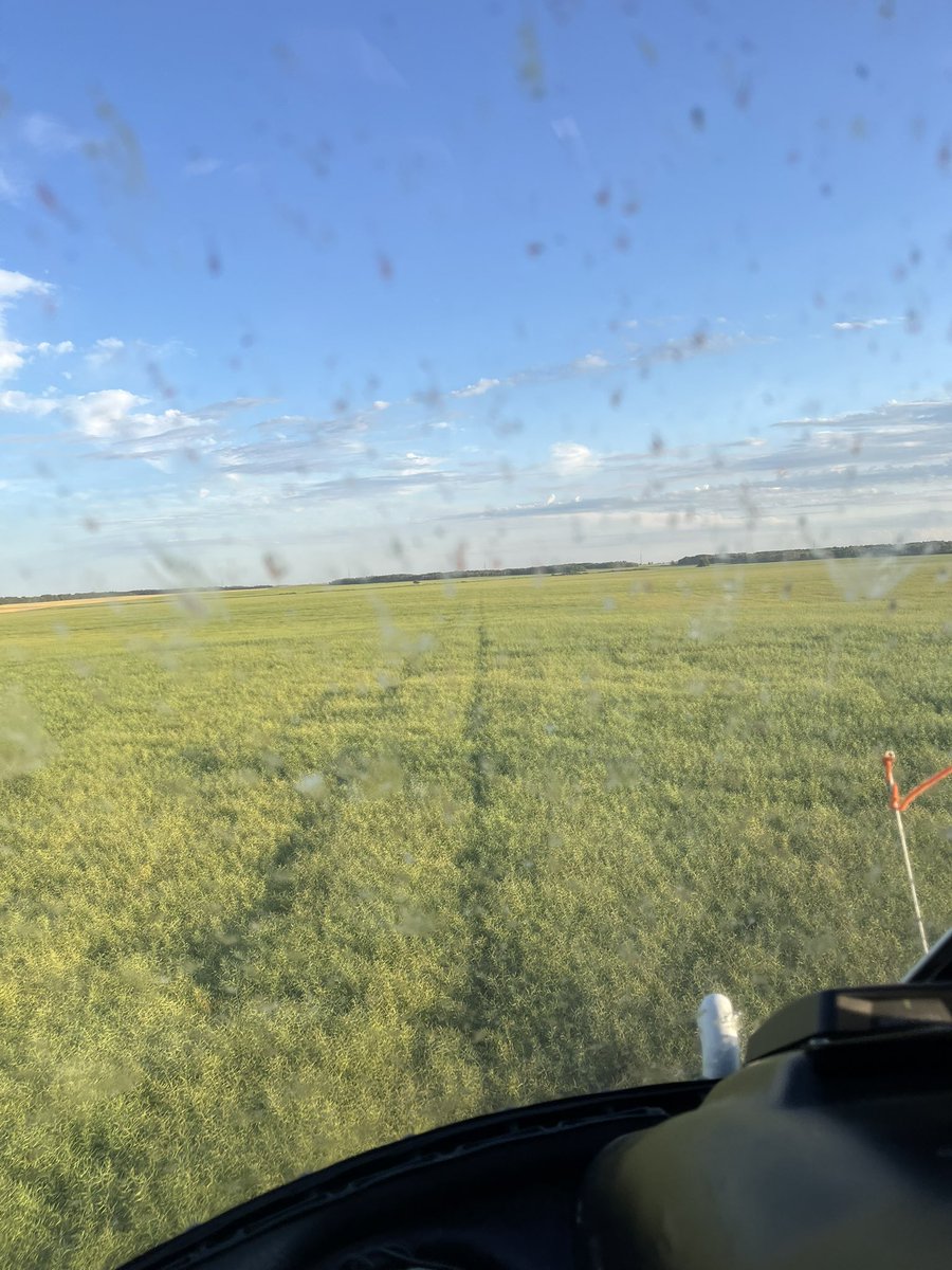 Took care of some Bertha today. Only the 2nd time in 34 yrs of farming.