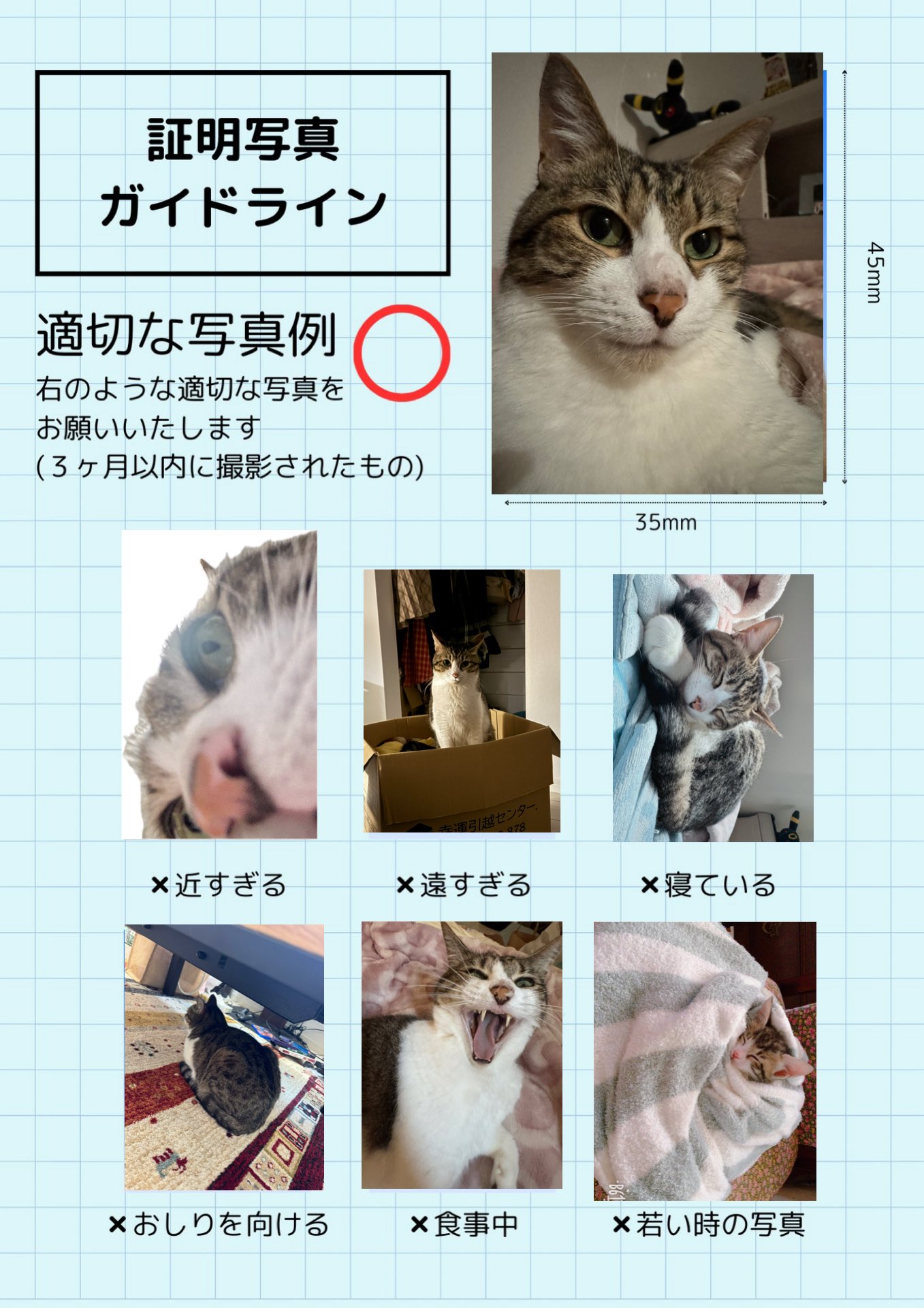 めぐみページ 詩之本めぐみ (@memetan_0705) / X