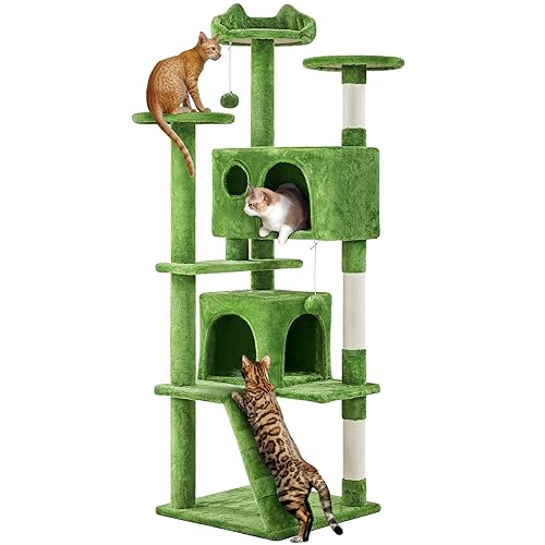 Dying just received a contribution towards Yaheetech 62in Cat Tree Tower for Indoor Cats, Furniture w/Double Condo, Scratching Posts, Multiple Platforms and Balls for Kittens, Green  from Anonymous via Throne. Thank you so much! throne.com/dyingdesu #Wishlist #Throne