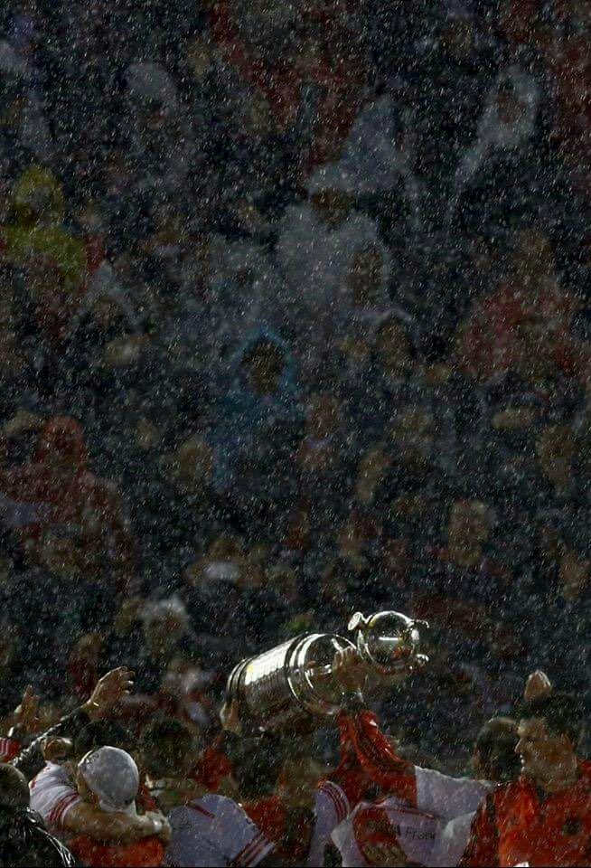 No permita el cielo, no
Que se apague esta ilusión