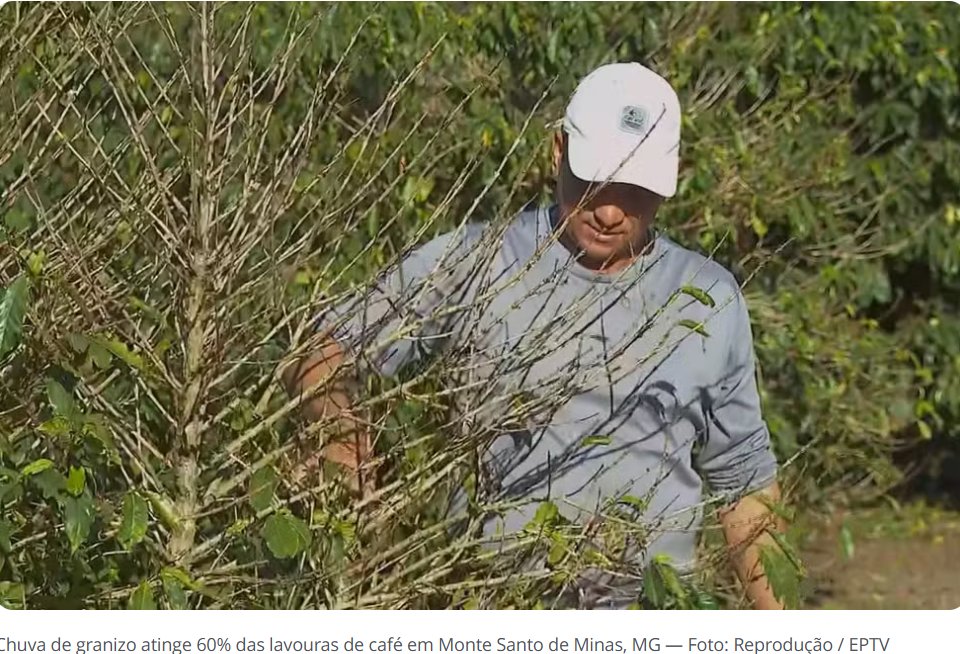 Maja Wallengren tweet media