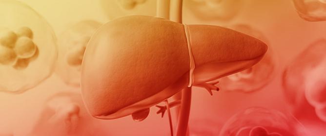 Transplantology MDPI (@transplant_mdpi) on Twitter photo 📢 New Title Story in Transplantology!
“Outcomes Following DBD and DCD Liver Transplantation in PSC”
by <a href="/KevinVerhoeffMD/">Kevin Verhoeff</a>
🔗 Read more: mdpi.com/2673-3943/6/3/…
#LiverTransplant #PSC #Transplantology 📢 New Title Story in Transplantology!
“Outcomes Following DBD and DCD Liver Transplantation in PSC”
by <a href="/KevinVerhoeffMD/">Kevin Verhoeff</a>
🔗 Read more: mdpi.com/2673-3943/6/3/…
#LiverTransplant #PSC #Transplantology