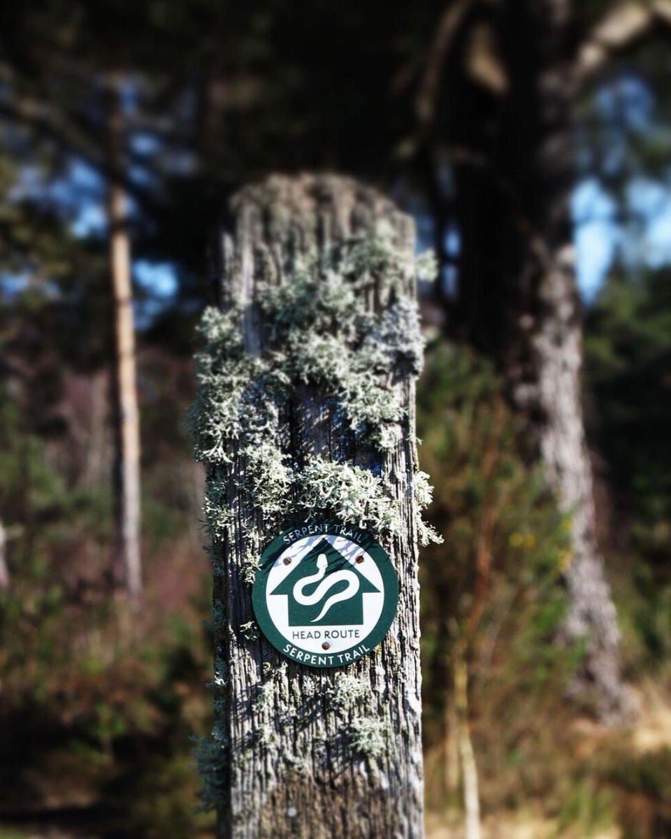 South Downs National Park tweet media