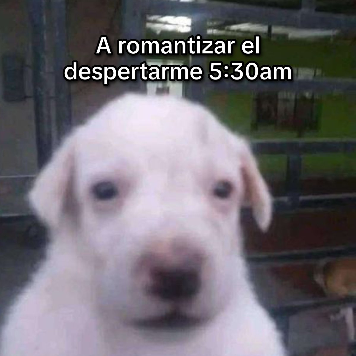 Guarromantico_'s tweet photo. A romantizar. https://t.co/dcUuJxLasq