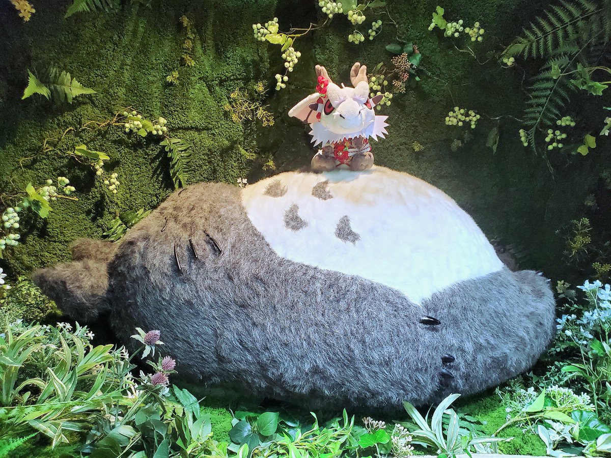 Nuikatsu (ぬい活) incorporating plush toy into everyday life
