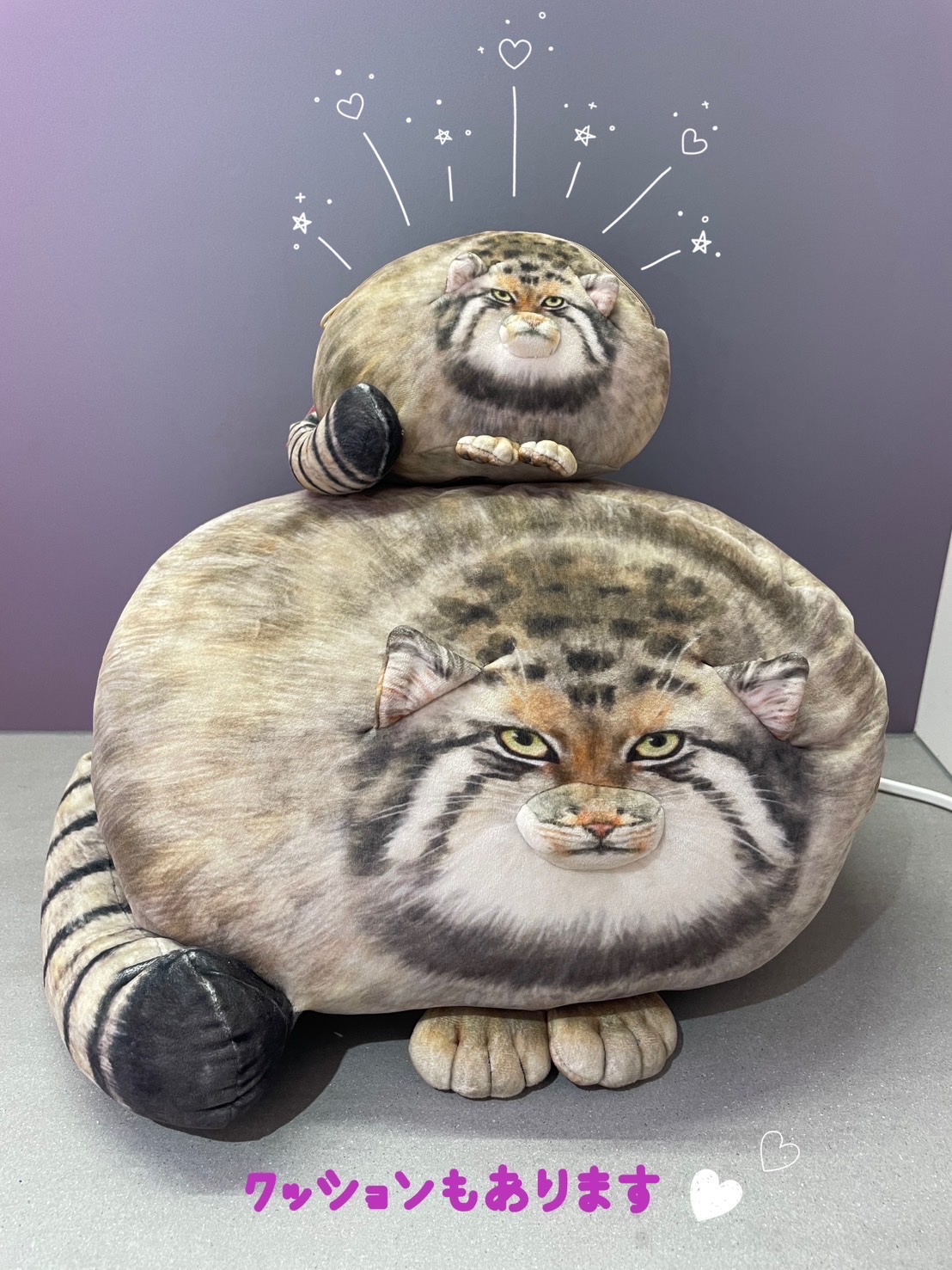 おにんぎょ屋　葉　ちび猫 🎪おにんぎょ屋 葉🎪 on X: 