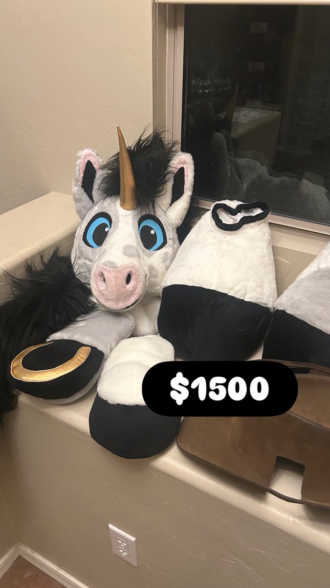 Stressed is an understatement and moving states is no joke! I move out on Thursday so help me by buying my wares! Everything will be shipped once I’m settled likely on August 23rd. DM with any questions!

1. Brand new because fuzz partial
2. Horsey partial by YBL suits