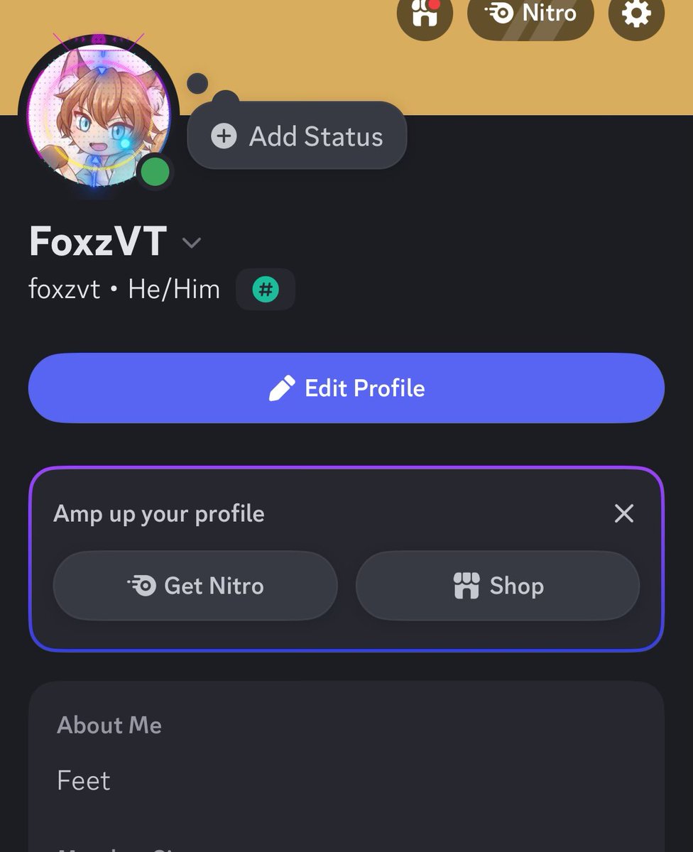 Foxz VTuber tweet media