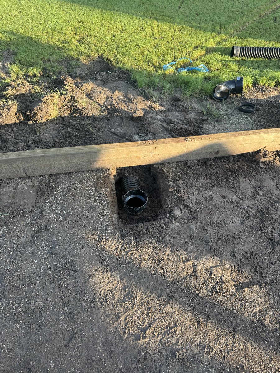 David B Levin tweet media