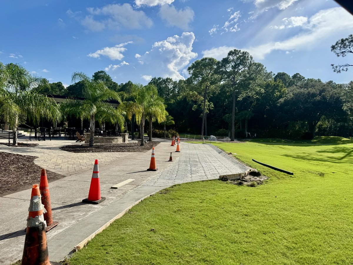 David B Levin tweet media