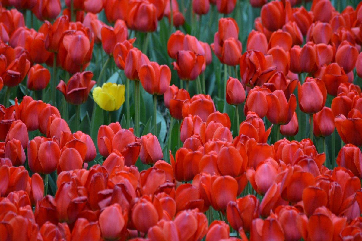 god_warrior_13's tweet image. روز جهانی عکاسی 
#19August #nationalphotographyday